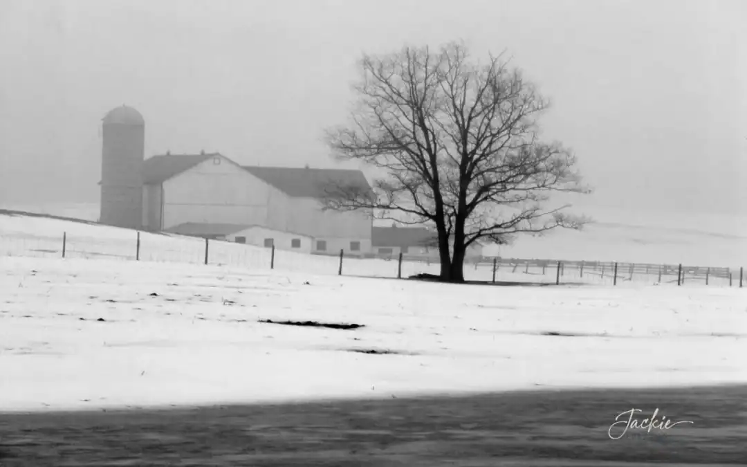 Giving Ourselves Grace in the Waiting Seasons