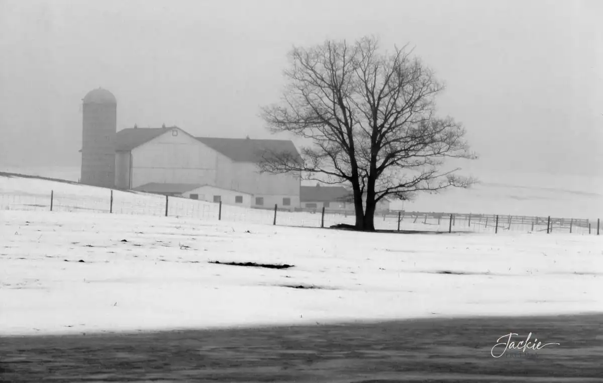 grace-waiting-season bare winter farm scene with snow on the ground