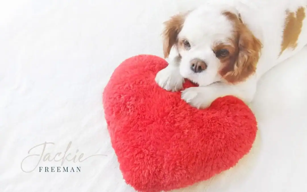 How Do I Express My Love to Him?